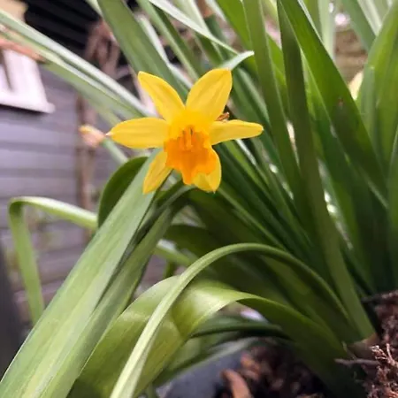 1 Solåsen Gjestgiverier *